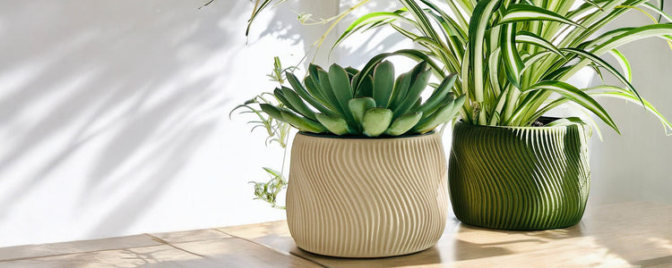 Planters