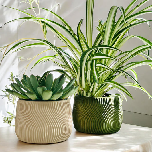 DOLCE | Jardinière